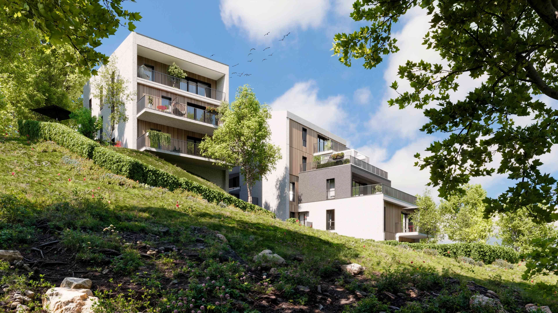 Rendu 3D immobilier photoréaliste 1